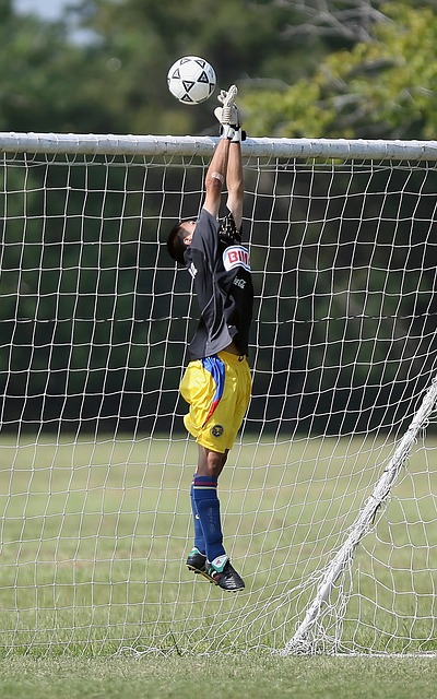 贝尔也声援 贝尔也声援