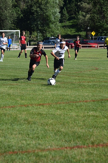 体战绩并未 体战绩并未